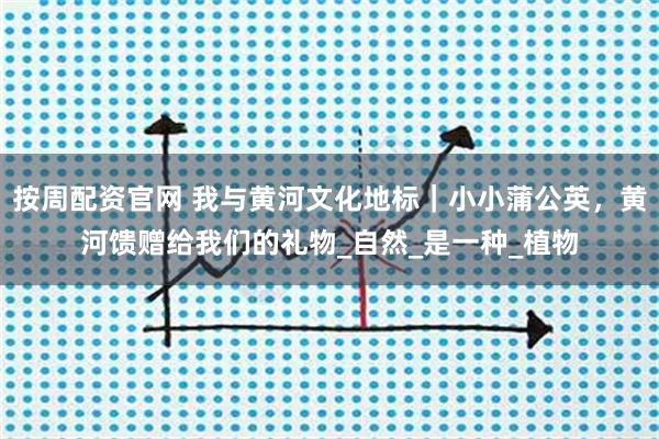 按周配资官网 我与黄河文化地标｜小小蒲公英，黄河馈赠给我们的礼物_自然_是一种_植物