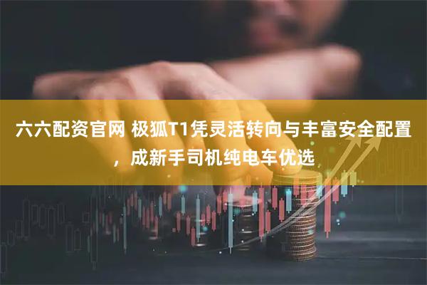 六六配资官网 极狐T1凭灵活转向与丰富安全配置，成新手司机纯电车优选