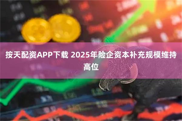 按天配资APP下载 2025年险企资本补充规模维持高位
