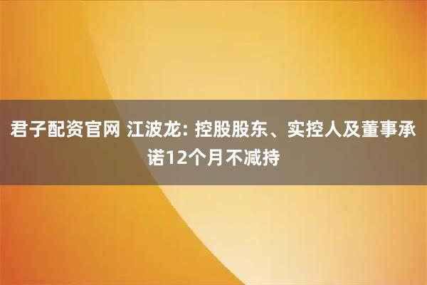 君子配资官网 江波龙: 控股股东、实控人及董事承诺12个月不减持